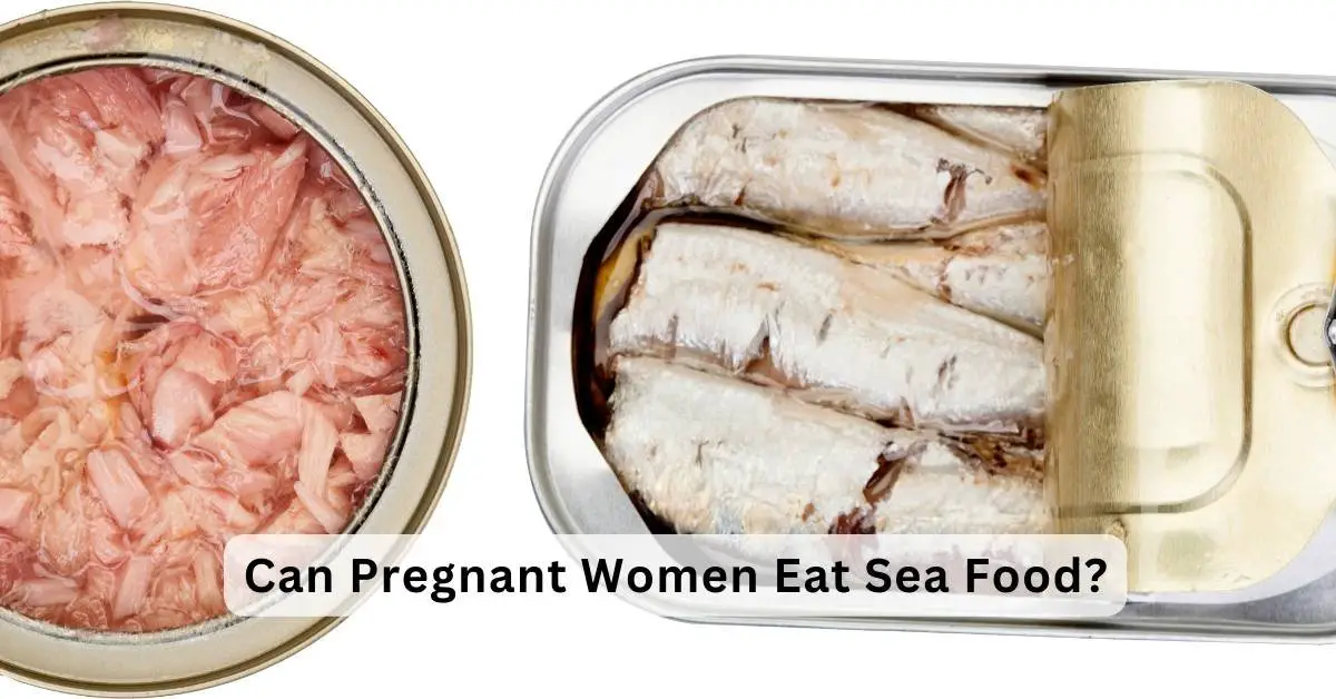 Can Pregnant Women Eat Sea Food?