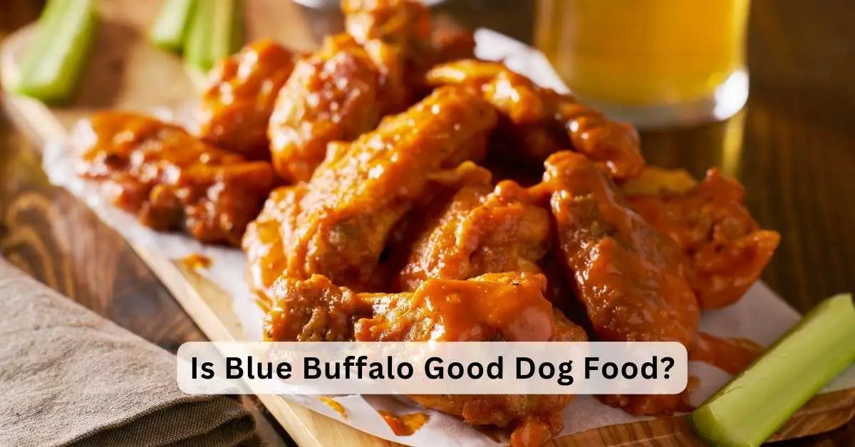 Is Blue Buffalo Good Dog Food