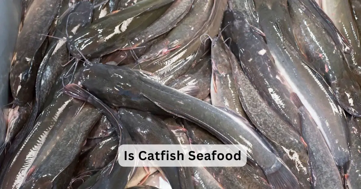 Is Catfish Seafood