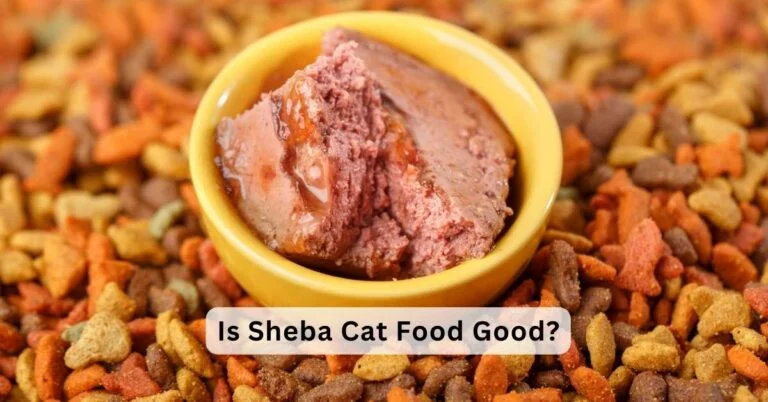 Is Sheba Cat Food Good?