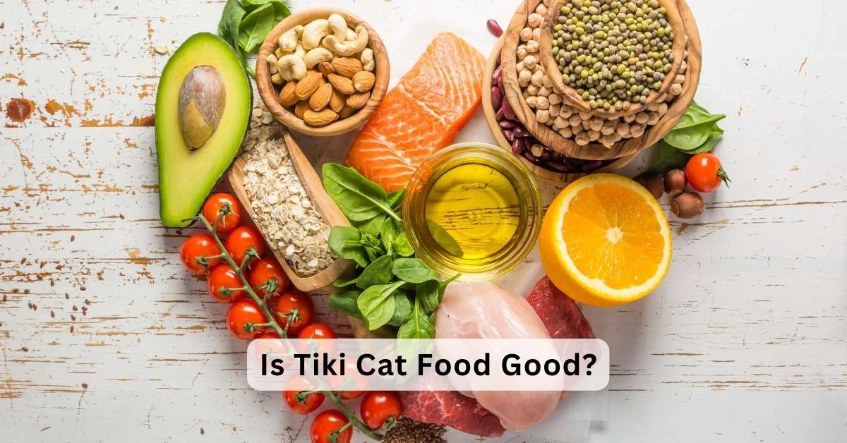 Is Tiki Cat Food Good