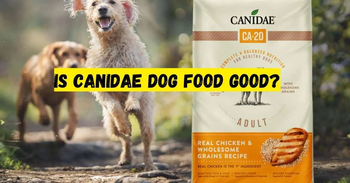 Is Canidae Dog Food Good?