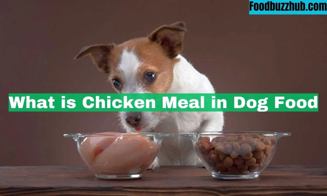 What is Chicken Meal in Dog Food