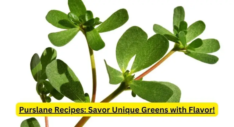 Purslane Recipes: Savor Unique Greens with Flavor!