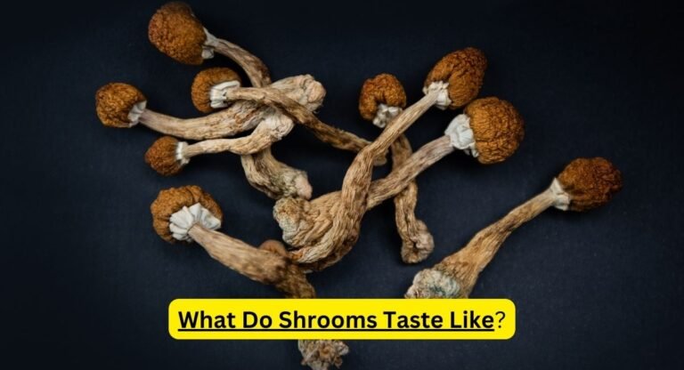 What Do Shrooms Taste Like
