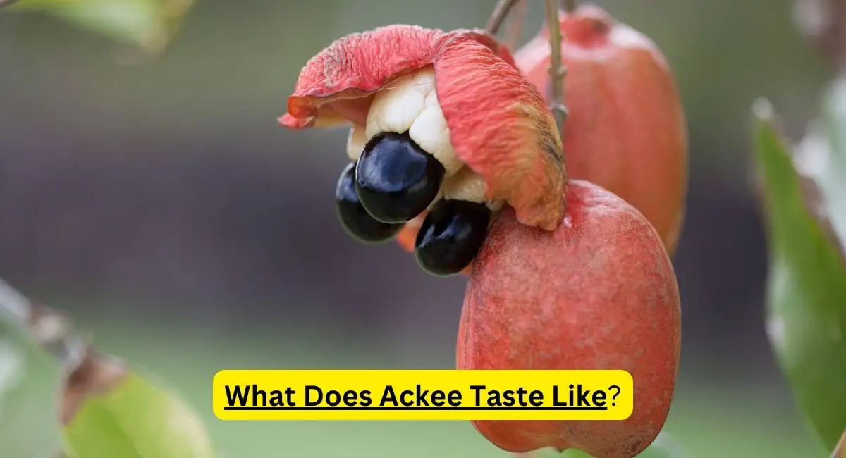 What Does Ackee Taste Like